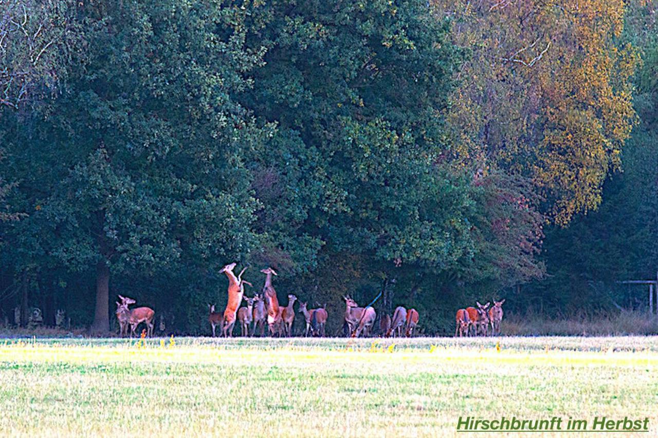 Ferienhaus Luneburger Heide Eschede Exterior foto